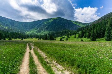 Fototapeta na wymiar Kondratowa Valley in June. Western Tatras. Poland.