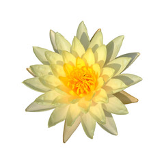 Beautiful lotus isolated on white background. (whit clipping path)