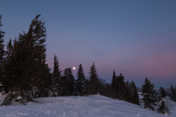 Winterlandschaft