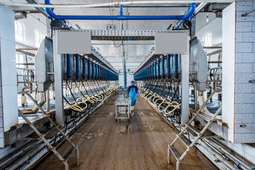Equipment of milking workshop in dairy farm