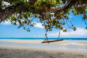 Summer beach and swing hanging from a tree