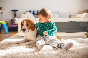 Baby hugging tight Beagle dog in sunny room.