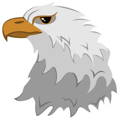 Realistic image of the head white eagle. Vector.