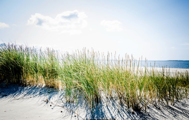 LAndscape by the ocean