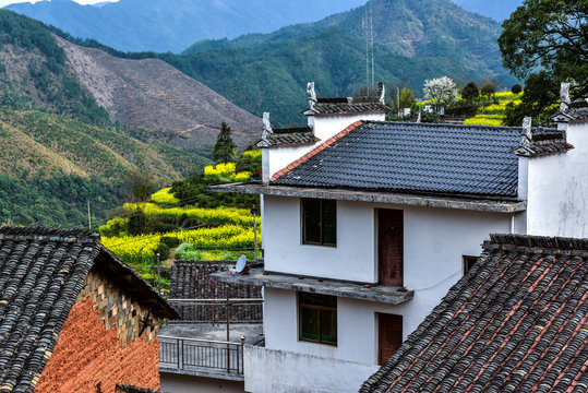 The Beautiful Mountain Village With Flowers In Full Bloom Was Photographed In Jiangling, Wuyuan County, Shangrao City, Jiangxi Province.