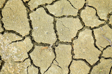 cracked ground texture