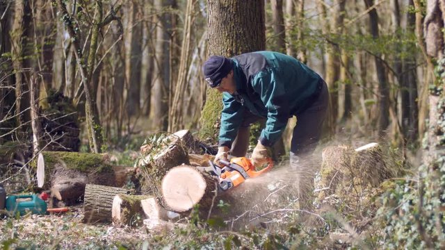 Bucheron en action en for&ecirc;t