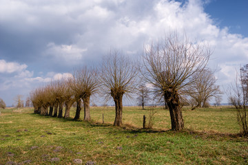 Krajobraz wiejski Podlasia, Wiosna na Podlasiu © podlaski49