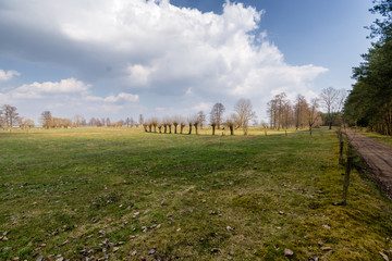 Krajobraz wiejski Podlasia, Wiosna na Podlasiu