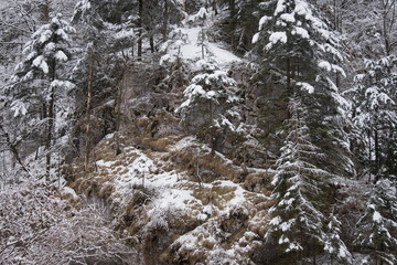Felslandschaft im Winter