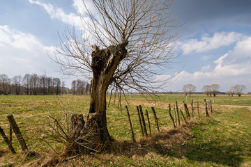 Krajobraz wiejski Podlasia, Wiosna na Podlasiu