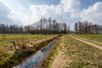 Krajobraz wiejski Podlasia, Wiosna na Podlasiu © podlaski49