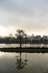 tree reflection at the river