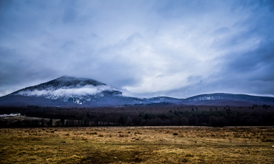 Landscape by the mountain