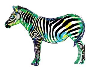 Zebra pattern markers. Pop Art. Bright print, colored spots. Freehand drawing. Zebra in full growth.