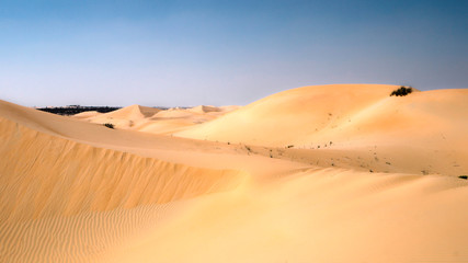 Fototapeta na wymiar sands of desert 