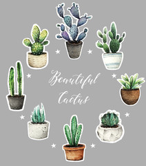 Watercolor illustration, Cactus in pots, set. background, postcard for you, handmade