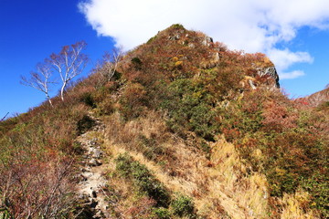 東北飯豊連峰　飯豊山山頂への道　秋　ダケカンバのある風景