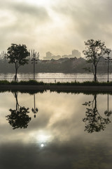 tree reflection at the river