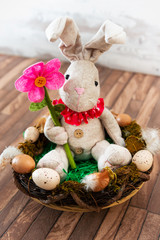 Easter concept - rabbit in front of background