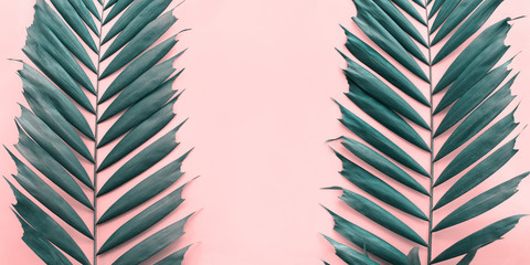 Variations Tropical Palm Leaves Flat Lay Top View