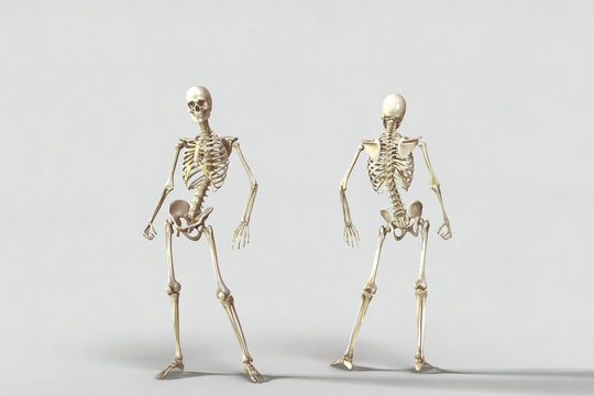 Skeleton pose reference Clearance