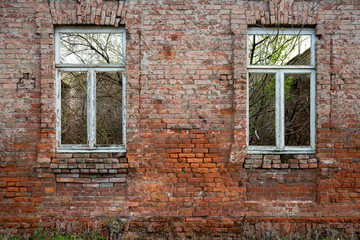 old brick wall with an old windows and growths