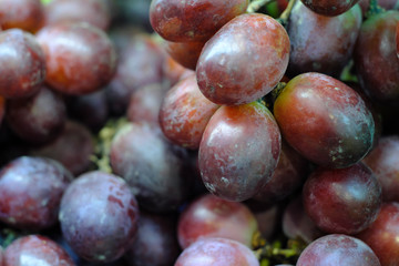 Closeup grape purple soft focus