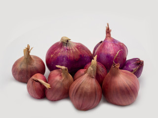 Shallots are Thai food and Thai herbs.