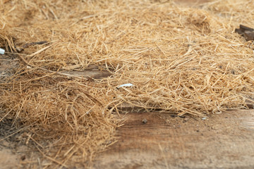 Dry hay on a wooden background