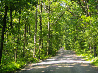 Rural NY Back Road