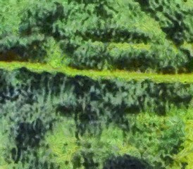 High quality detailed close up texture. Macro background in oil. Dry strokes of brush. Amazing beauty backdrop. Perfect pattern in vintage painting style.