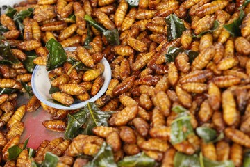 Fried silk worms delicious in street food