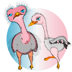 Children and parents in the animal world.Ostriches.Cute ostriches in cartoon style.