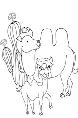 Coloring pages. Animals. Cute camel stands and smiles.