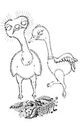 Black and white cute cartoon ostrich. Coloring book for the children. Vector illustration