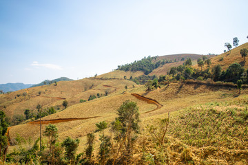 Naklejka premium Landscape in Hot season or Dry season Mea-jam, chiangmai, Thailand