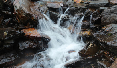 water flowing over rocks in the forest