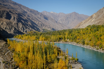 Autumn view of Ghizer river flowing through forest in Gahkuch, surrounded by Hindu Kush mountain range. Gilgit Baltistan, Pakistan.