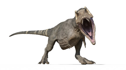 T-Rex Dinosaur, Tyrannosaurus Rex reptile, prehistoric Jurassic animal roaring on white background, front view, 3D illustration