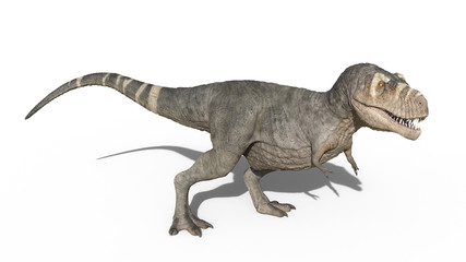 T-Rex Dinosaur, Tyrannosaurus Rex reptile standing, prehistoric Jurassic animal isolated on white background, 3D illustration