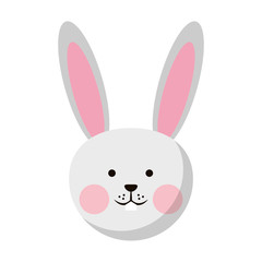 Rabbit cute animal head