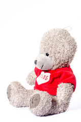 Small gray teddy bear against white background.