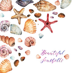 Watercolor illustration, Beautiful seashells, set. background, handmade, postcard for you