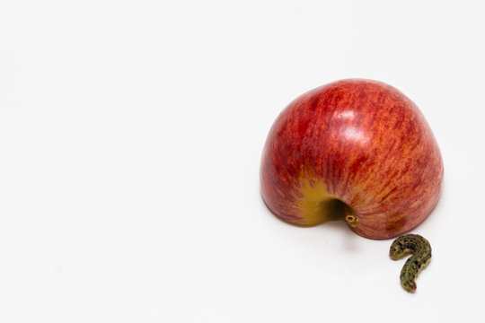 red apple and caterpillar on a white background. caterpillar in the form of a question mark.