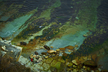 Image of the rocky shores of the cold sea.