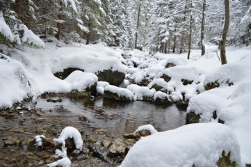 winter holidays in Zakopane