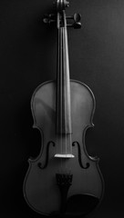 Fototapeta na wymiar Musical instrument. Violin. Old violin. Black and white photo