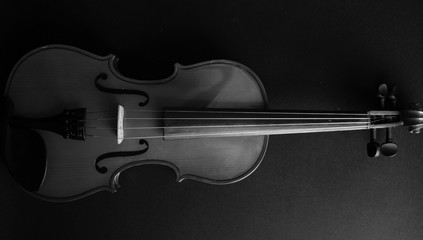 Musical instrument. Violin. Old violin. Black and white photo