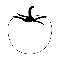 Tomato fresh vegetable food in black and white
